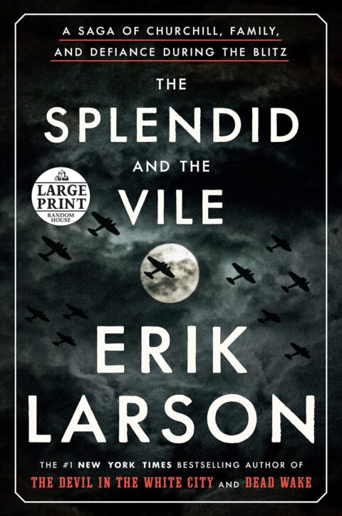 the splendid and the vile book